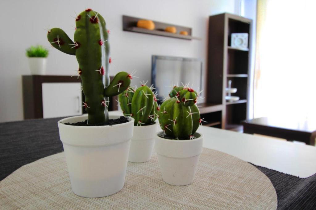Expoholidays-Eucalipto 1º1 Apartment Aguadulce  Luaran gambar